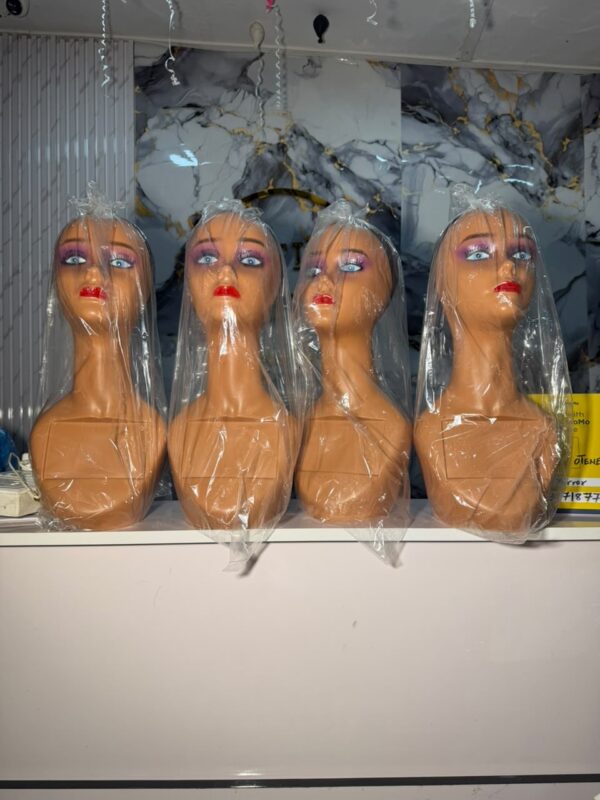 Mannequin Head Long Neck